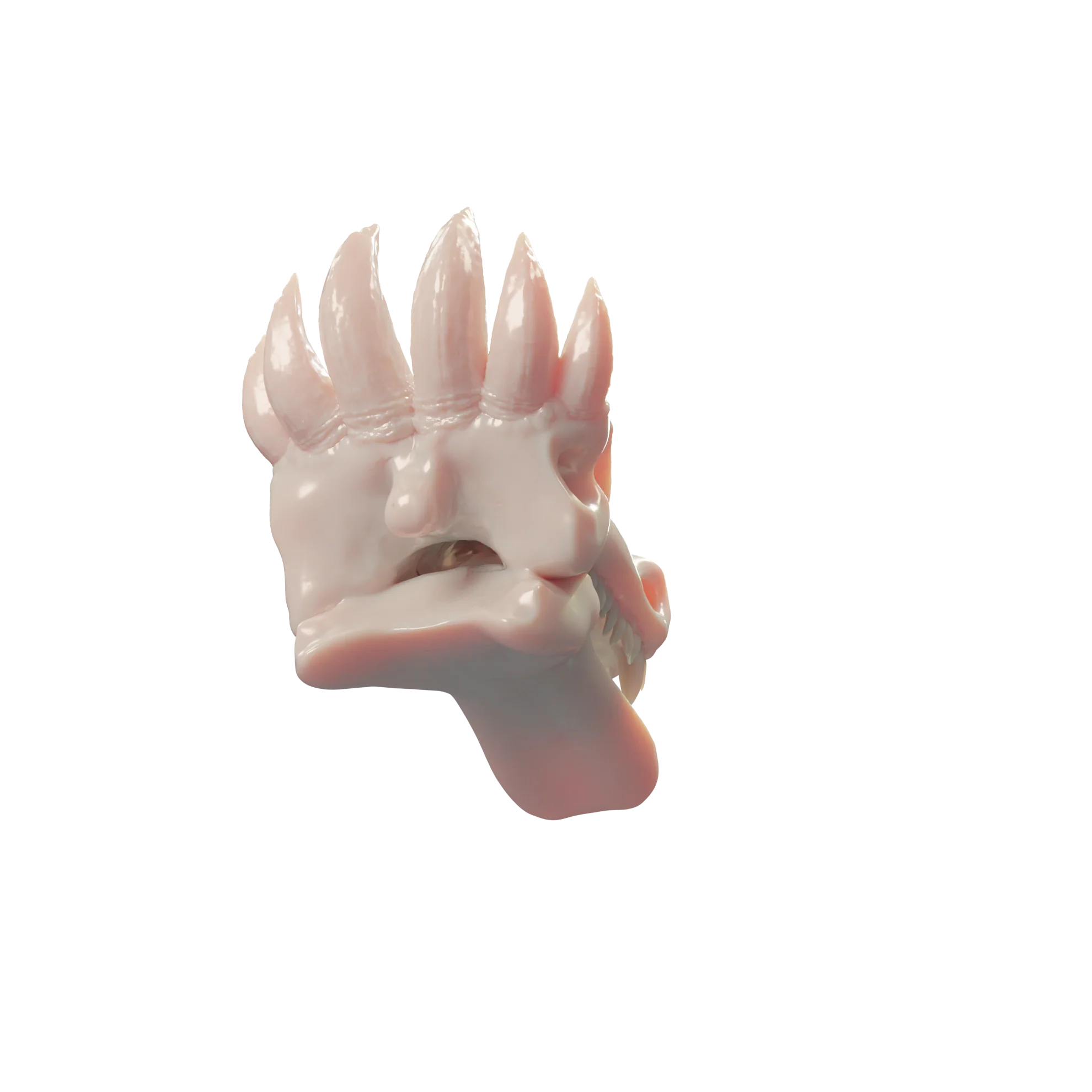 Thumb 3